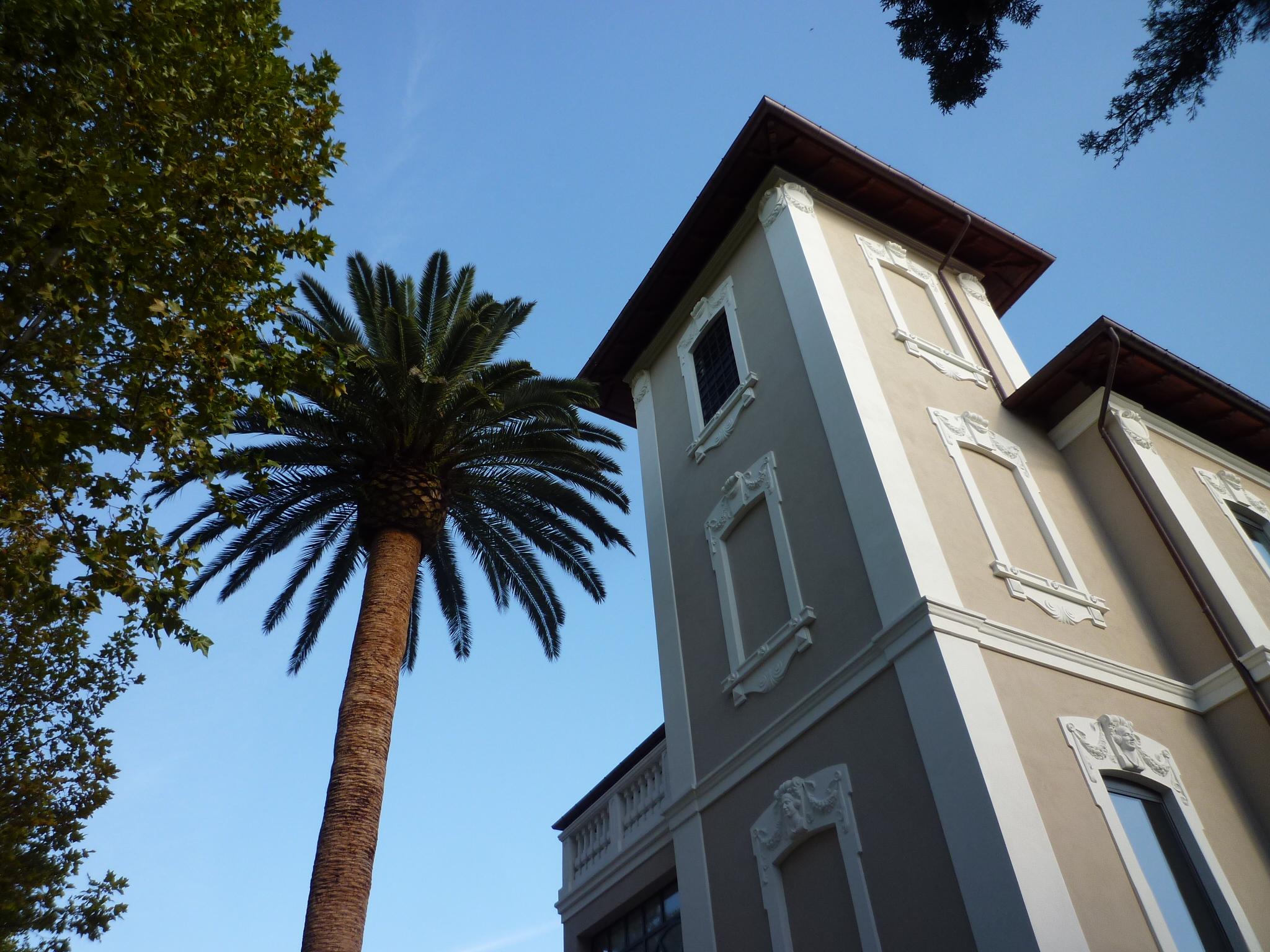 Hotel 900 Giulianova Eksteriør billede